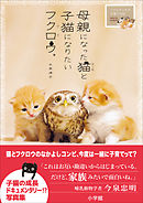 魔王遭難中 愉快な仲間達を添えて １ 遠田マリモ 漫画 無料試し読みなら 電子書籍ストア ブックライブ