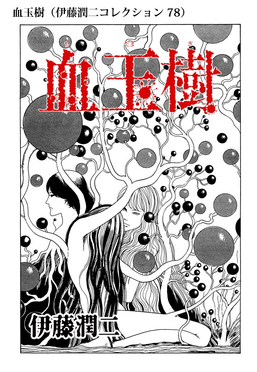 血玉樹 伊藤潤二コレクション 78 漫画 無料試し読みなら 電子書籍ストア ブックライブ