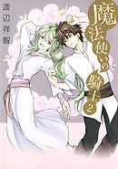 魔法使いの騎士　2巻