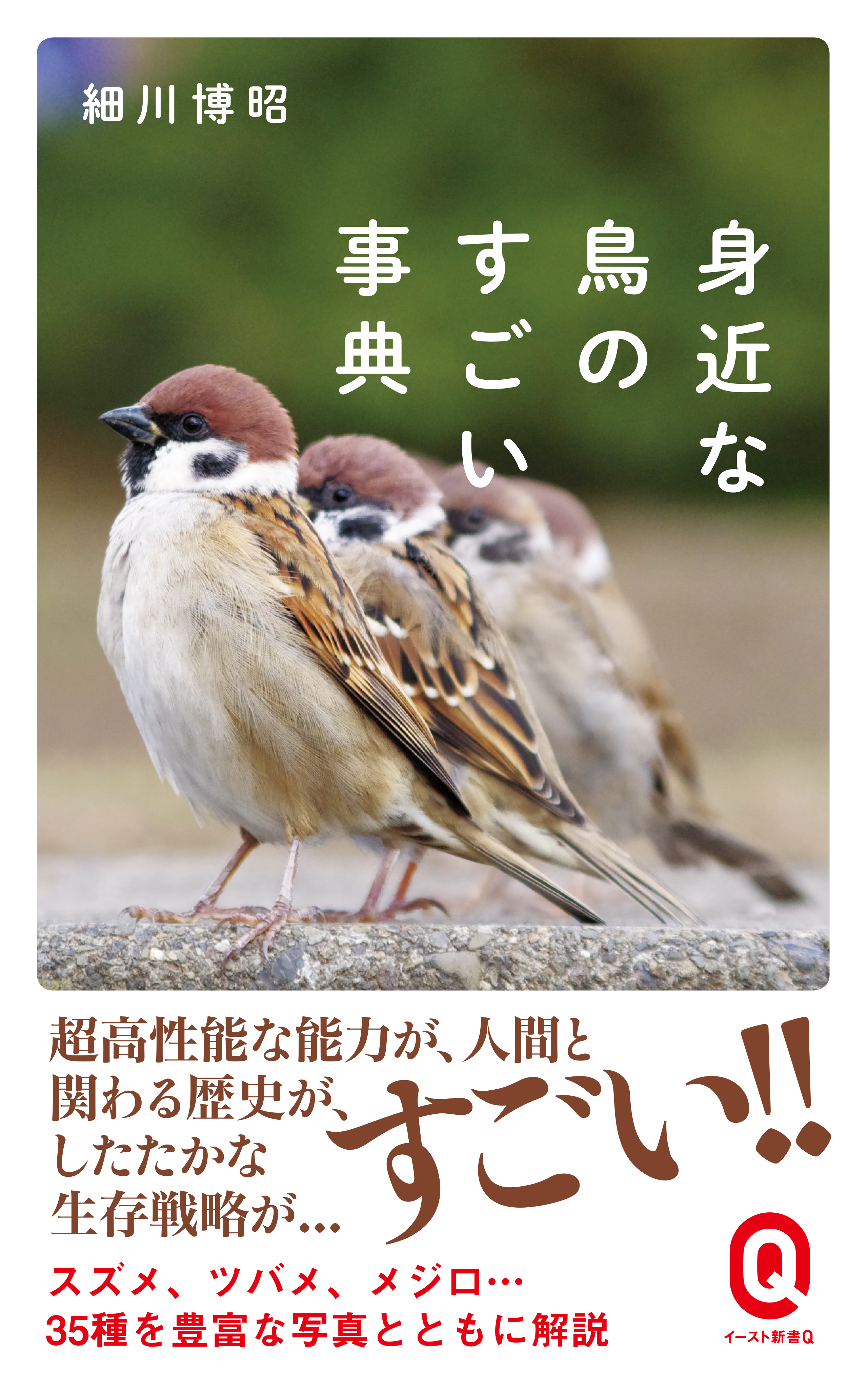 身近な鳥のすごい事典 漫画 無料試し読みなら 電子書籍ストア ブックライブ