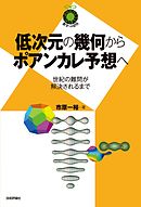 低次元の幾何からポアンカレ予想へ ～世紀の難問が解決されるまで～