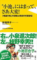 “小池”にはまって、さあ大変！ - 「希望の党」の凋落と突然の代表辞任 -
