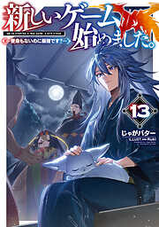 新しいゲーム始めました。～使命もないのに最強です？～13【電子書籍限定書き下ろしSS付き】