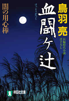 血闘ヶ辻　闇の用心棒〈九〉