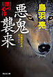 悪鬼襲来　闇の用心棒〈十二〉