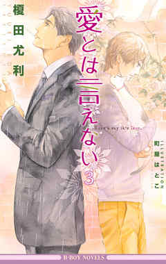 愛とは言えない3【イラスト入り】