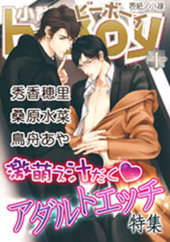 小説b-Boy　激萌え汁だくアダルトエッチ特集（2014年1月号）