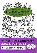 田んぼの恵み　八重山のくらし