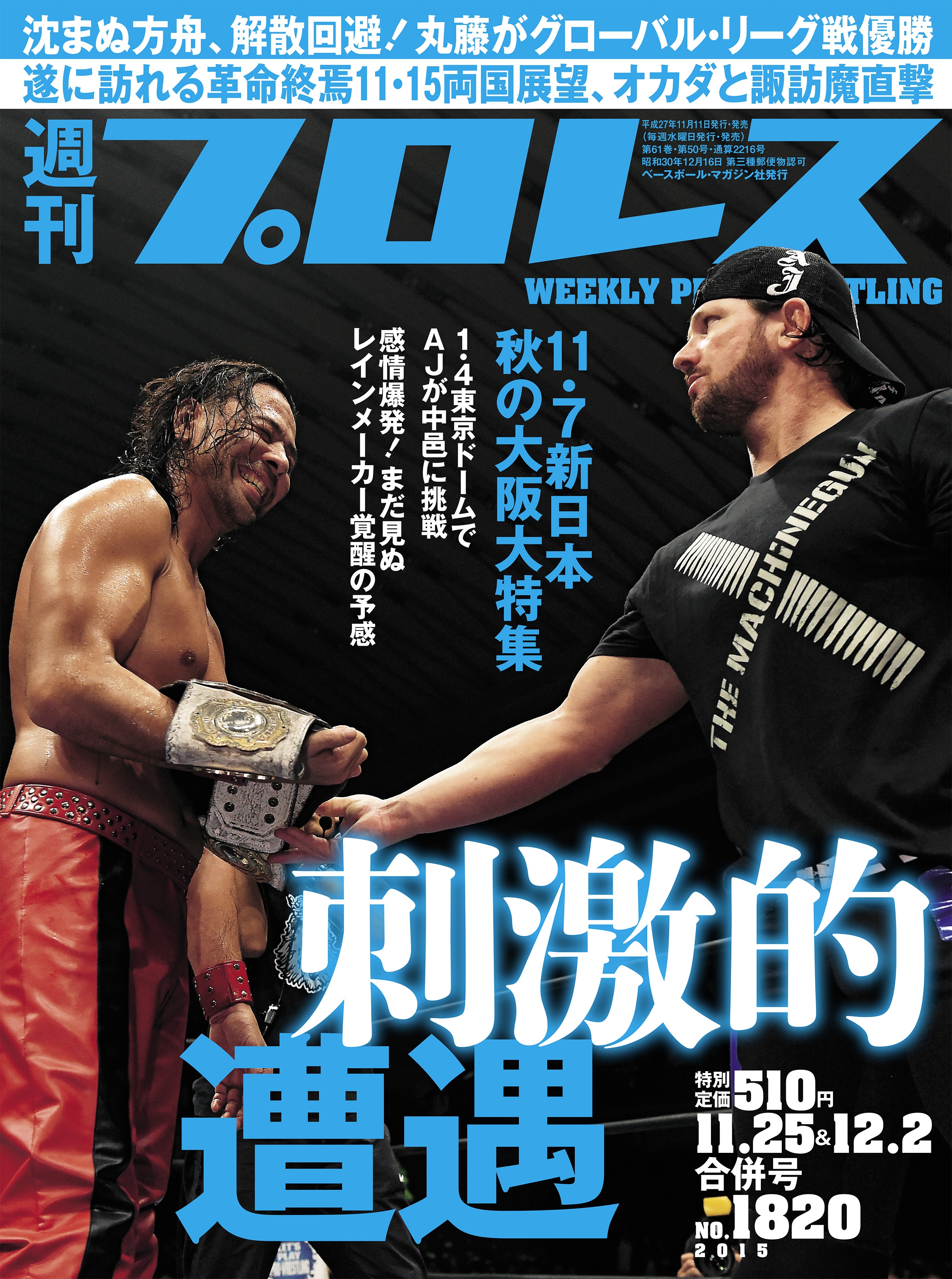 ボクシング観戦パーフェクトガイド 1991年〜2001年 11冊セット