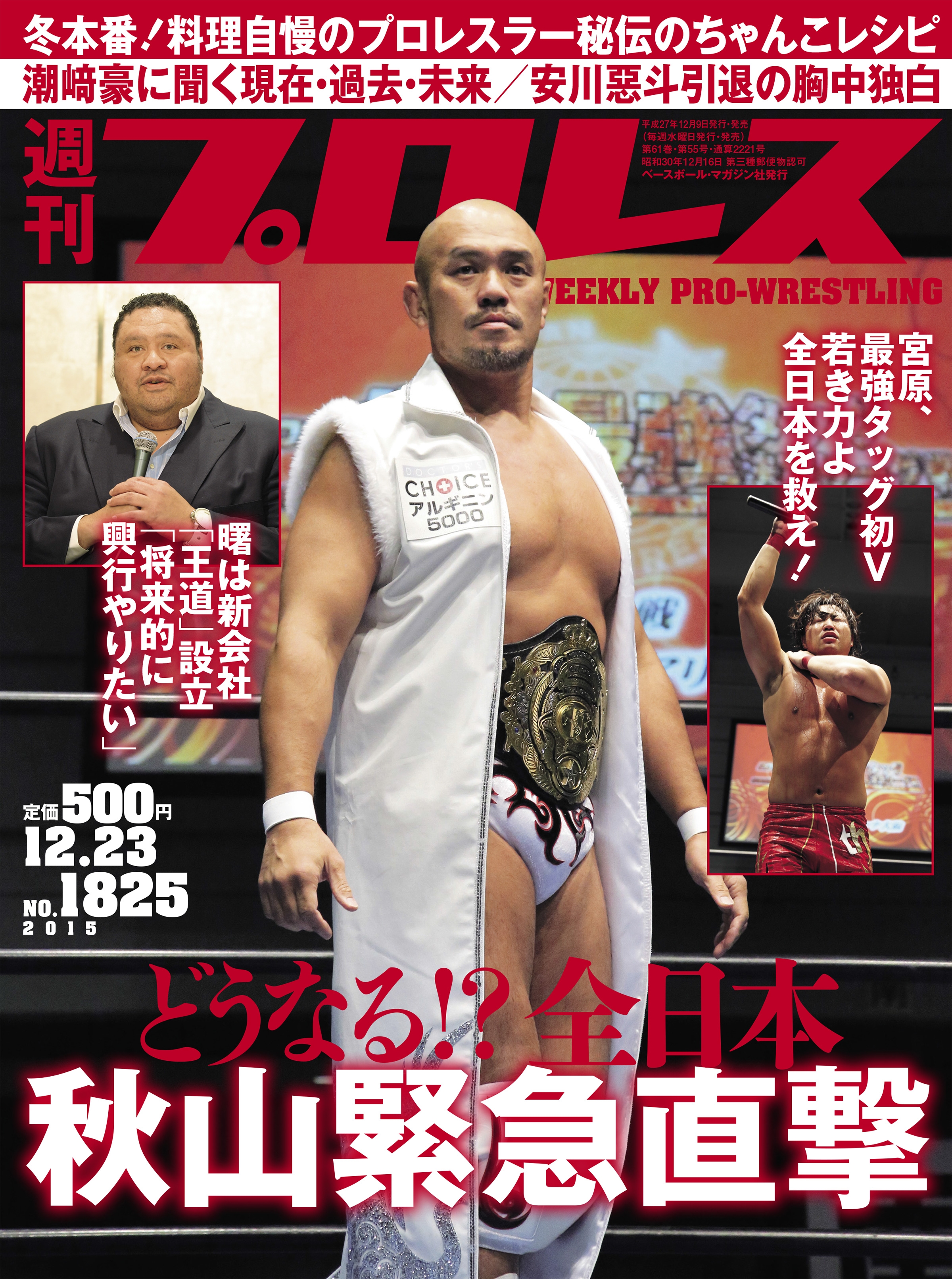 月刊プロレス 1977年1月号〜1979年12月号の計36冊 - アート