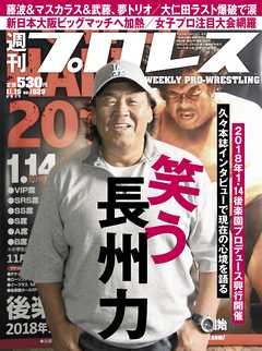 週刊プロレス 2017年 11/15号 No.1929