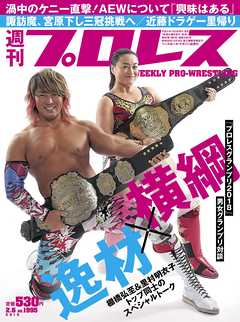 週刊プロレス 2019年 2/6号 No.1995