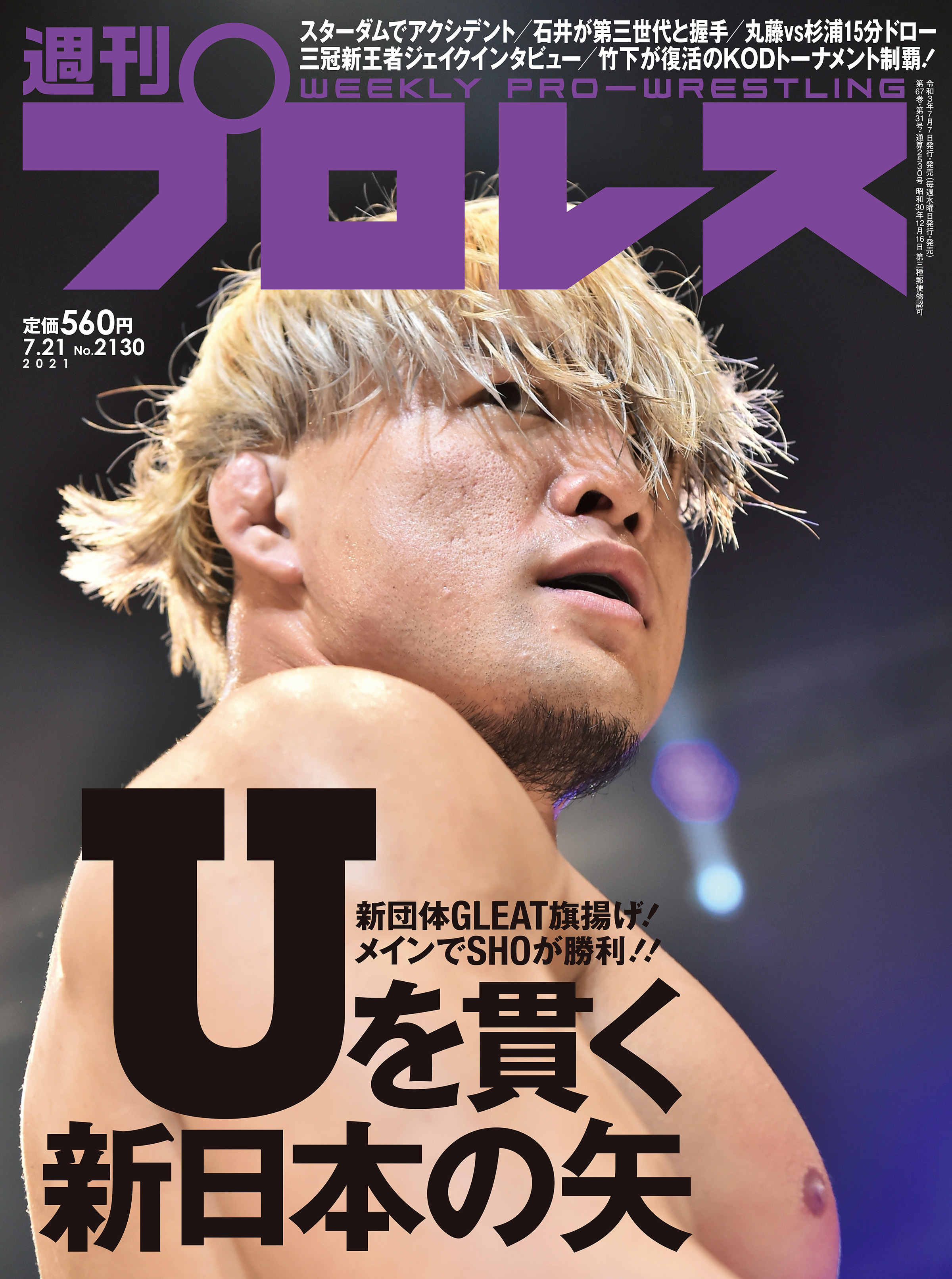 新日本プロレス・ビデオ1993年1月4日東京ドーム大会パート1＆2 長州力VS天龍源一郎、獣神サンダー・ライガーVSウルティモ・ドラゴン - ビデオ テープ