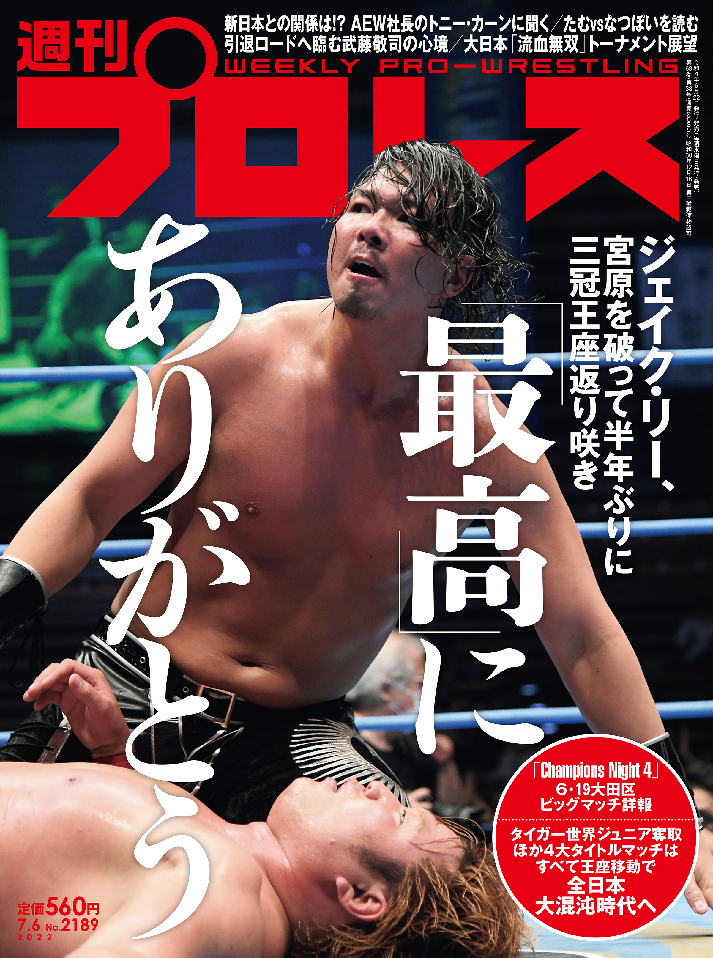 ファッションデザイナー 週刊プロレス増刊号 新日本プロレス1998年1月4日東京ドーム大会 長州力引退試合 IWGPヘビー級選手権  武藤敬司VS佐々木健介