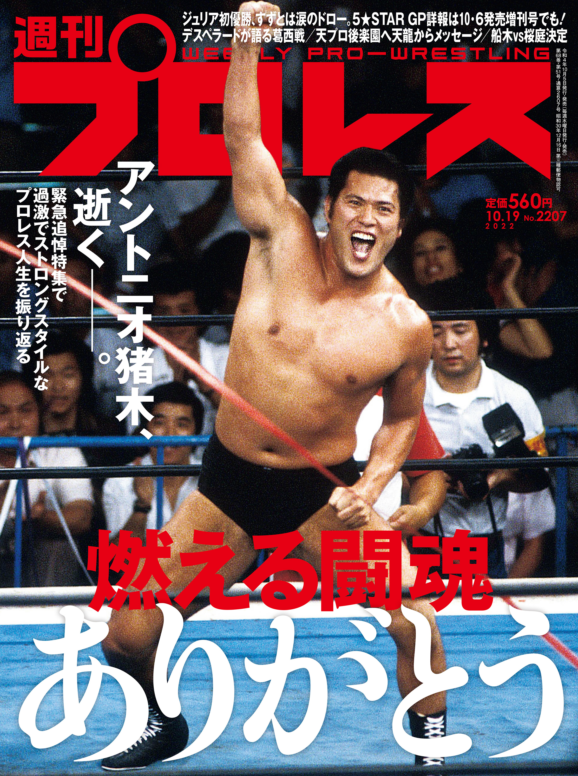 月刊プロレス 1977年1月号〜1979年12月号の計36冊 - bteubsnl.org