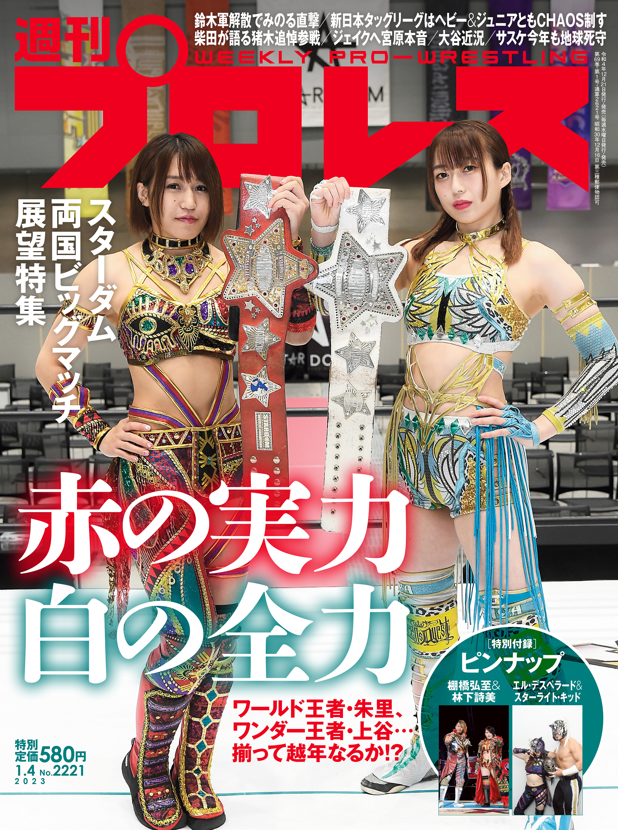 ☆超レア☆スターダム葉月写真集 - 雑誌