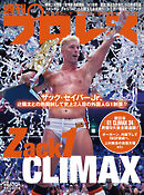 週刊プロレス 2024年 9/4号 No.2314