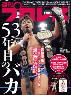 週刊プロレス 2024年 11/13号 No.2326