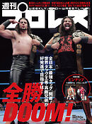 週刊プロレス 2024年 11/27号 No.2328