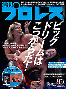 週刊プロレス 2026年 10/28号 No.2433