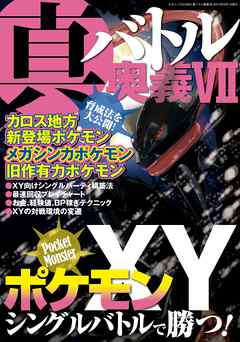 真・バトル奥義VII