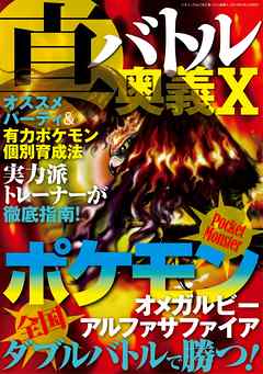 真・バトル奥義X