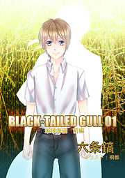 BLACK-TAILED GULL