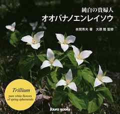 オオバナノエンレイソウ【HOPPAライブラリー】