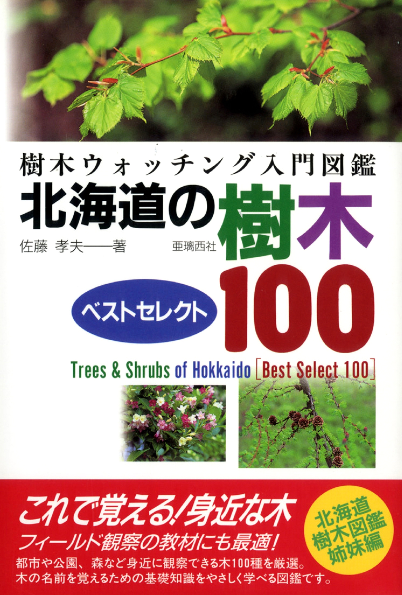 北海道の樹木ベストセレクト100 樹木ウォッチング入門図鑑【HOPPAライブラリー】 - 佐藤孝夫 - ビジネス・実用書・無料試し読みなら、電子書籍・コミックストア  ブックライブ