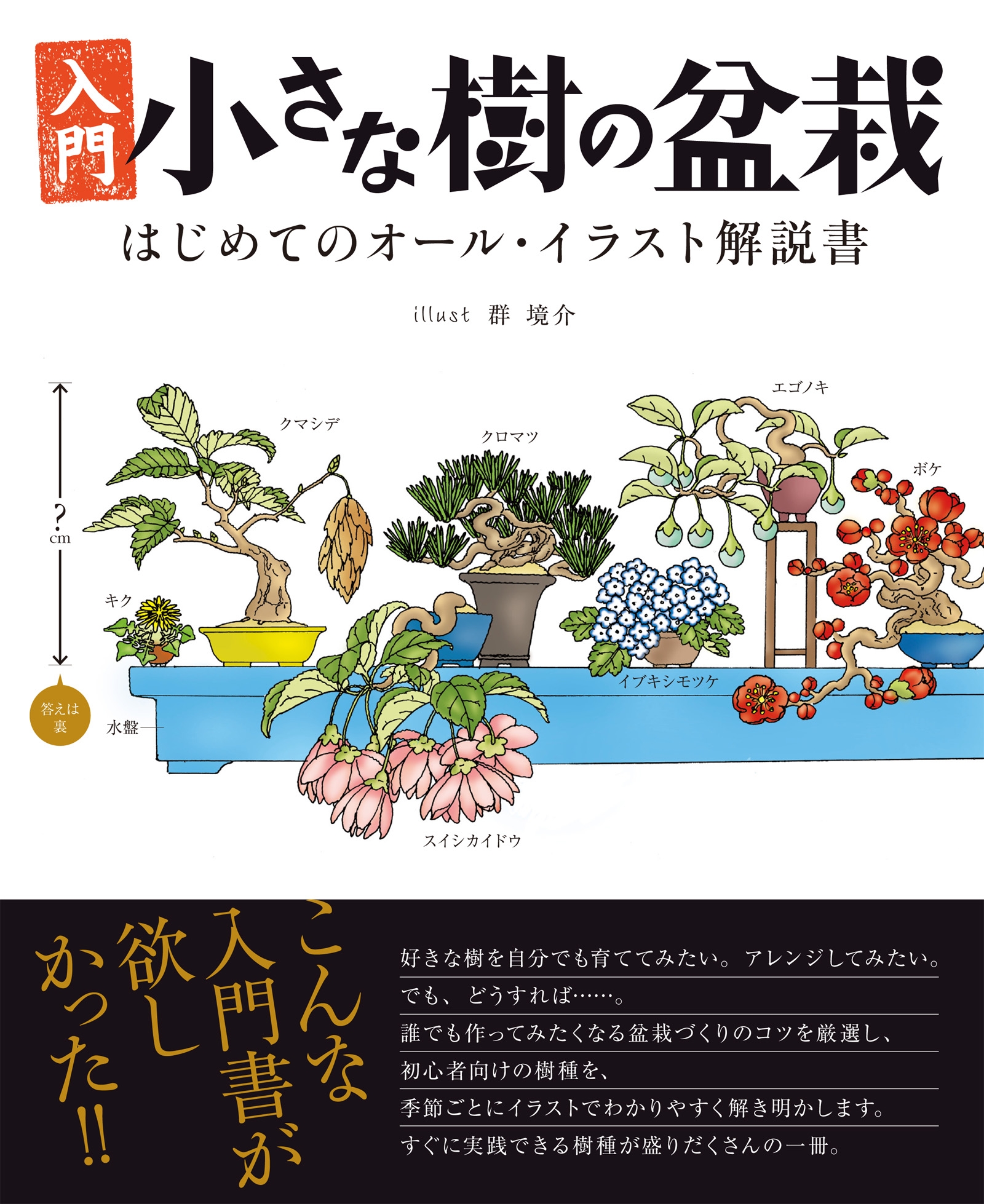 入門 小さな樹の盆栽 はじめてのオール イラスト解説書 漫画 無料試し読みなら 電子書籍ストア ブックライブ