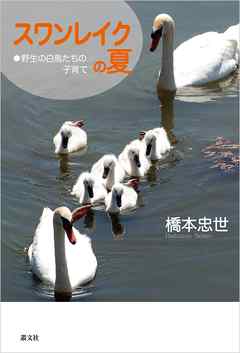 スワンレイクの夏―野生の白鳥たちの子育て