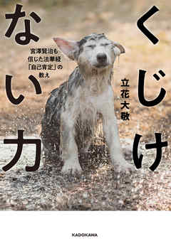 くじけない力　宮澤賢治も信じた法華経「自己肯定」の教え