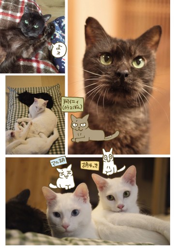 くるねこ 17 くるねこ大和 漫画 無料試し読みなら 電子書籍ストア ブックライブ