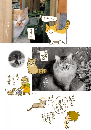 くるねこ番外篇 思い出噺 最新刊 漫画 無料試し読みなら 電子書籍ストア ブックライブ