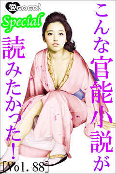 こんな官能小説が読みたかった！vol.88