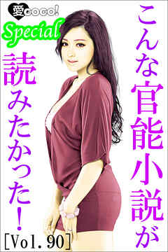 こんな官能小説が読みたかった！vol.90