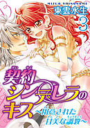 契約シンデレラのキス～用意された甘美な調教～【分冊版】3