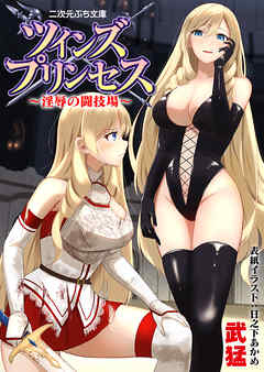 ツインズプリンセス　淫辱の闘技場