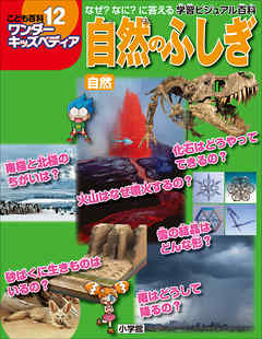 ワンダーキッズペディア12　自然 ～自然のふしぎ～