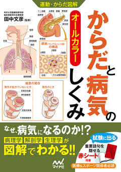 運動・からだ図解 からだと病気のしくみ