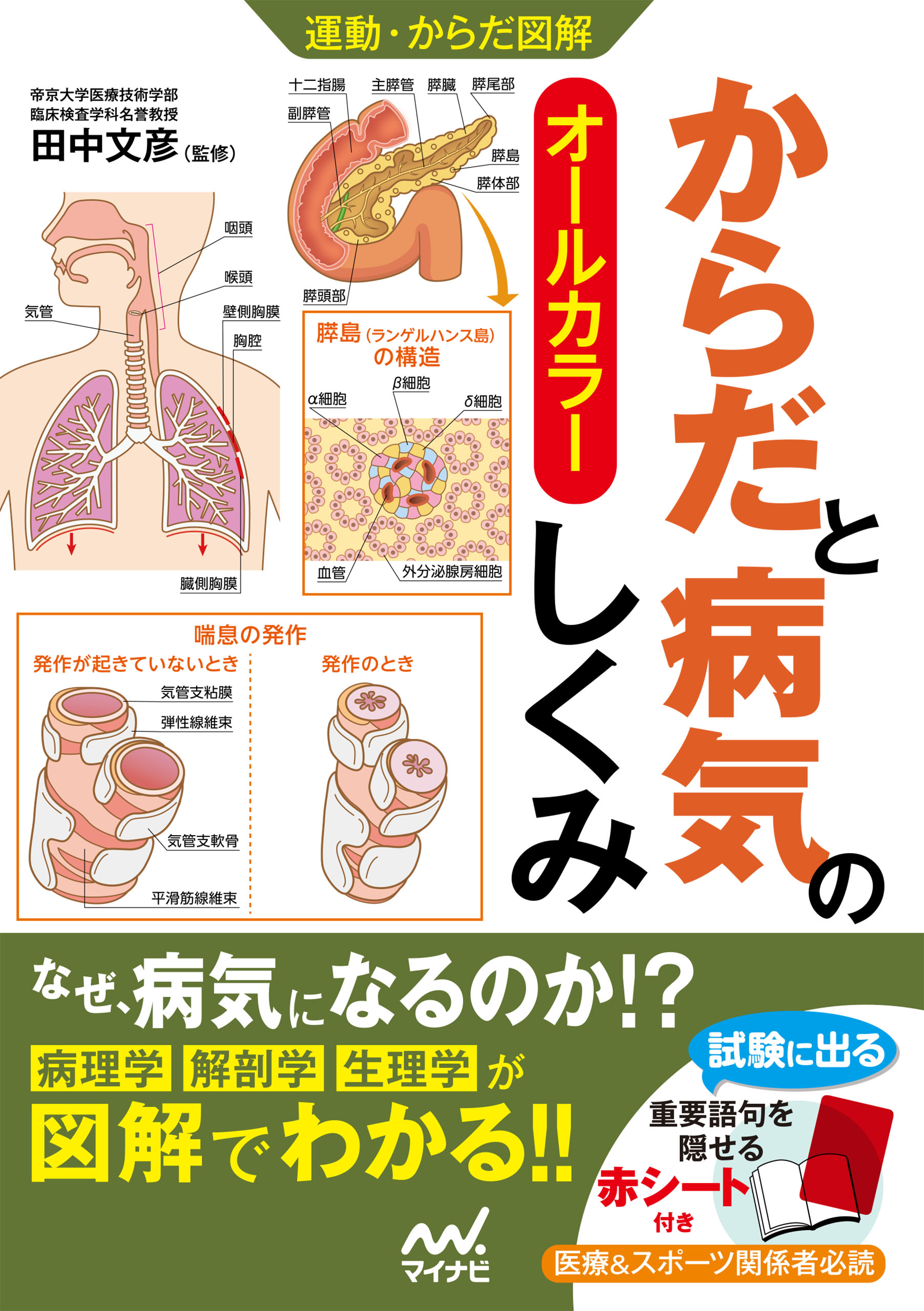 運動・からだ図解 からだと病気のしくみ - 田中文彦 - 漫画・無料試し