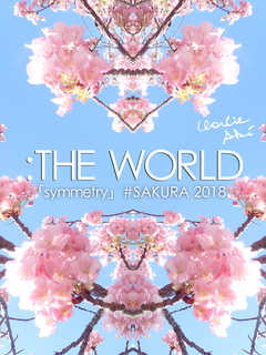 ��THE WORLD - ��symmetry��#SAKURA 2018