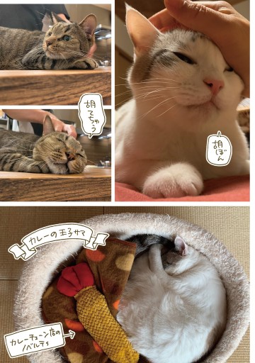 はぴはぴ くるねこ 8 最新刊 漫画 無料試し読みなら 電子書籍ストア ブックライブ はぴはぴ くるねこ 8 最新刊 漫画 無料試し読みなら 電子書籍ストア ブックライブ