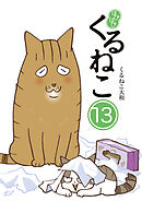 はぴはぴ くるねこ 13
