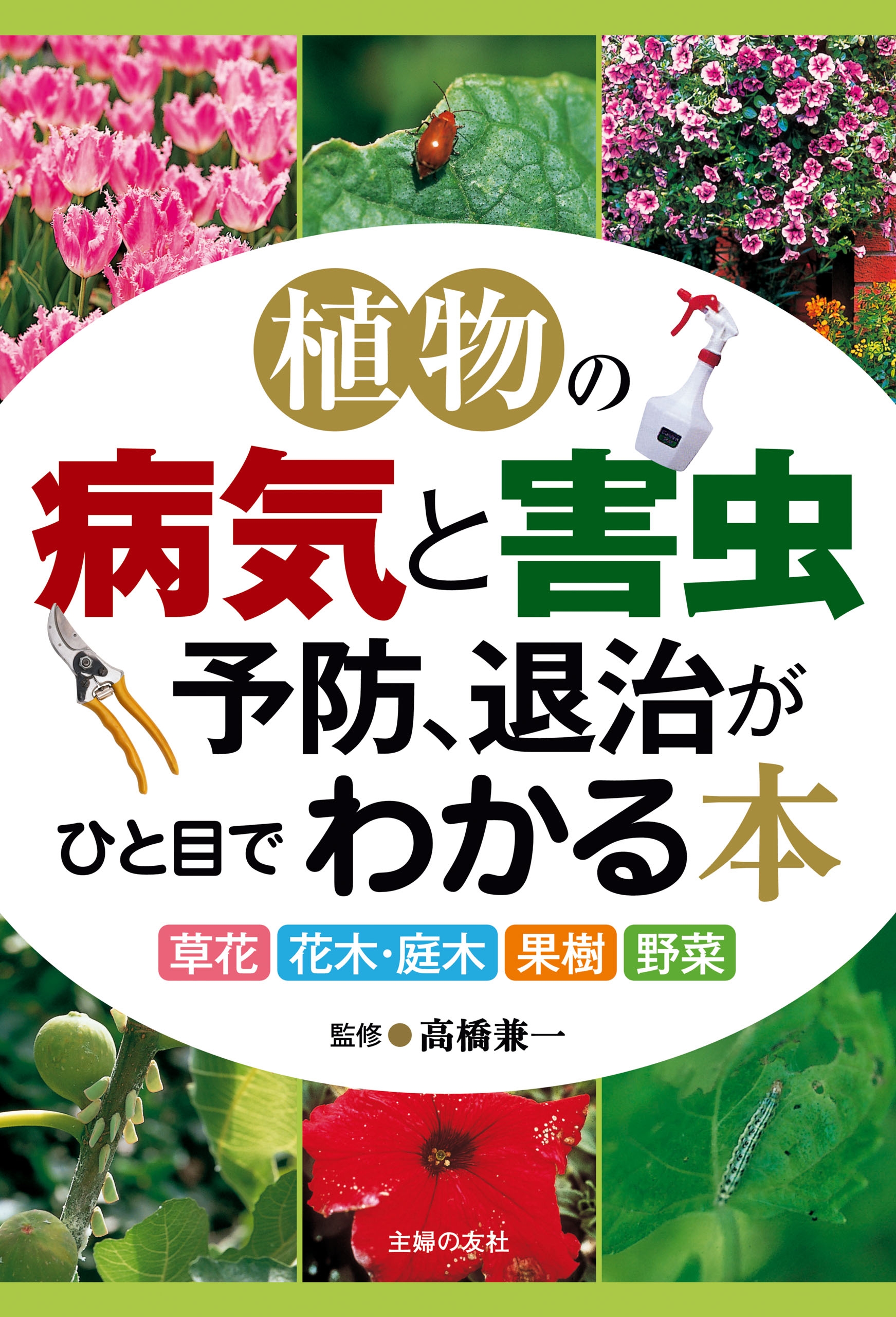 植物の病気と害虫予防 退治がひと目でわかる本 漫画 無料試し読みなら 電子書籍ストア ブックライブ