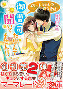 御曹司だなんて聞いてません！！～エリートなカレの一途な愛情～