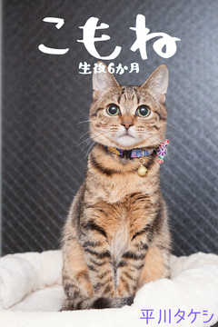 �����?����6����?