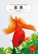 金魚：飼育の仕方、種類、水作り、病気のことがすぐわかる！