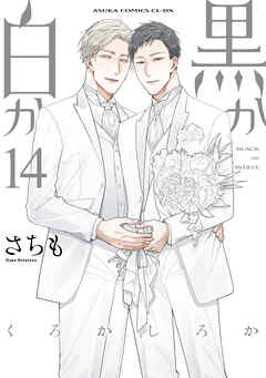 黒か白か　第14巻