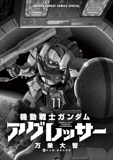 アグレッサー ガンダム 13